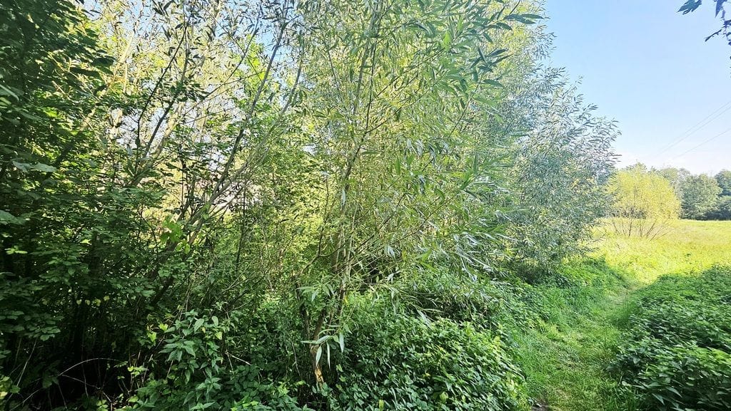 Dom 4 pokojowe na Sprzedaż