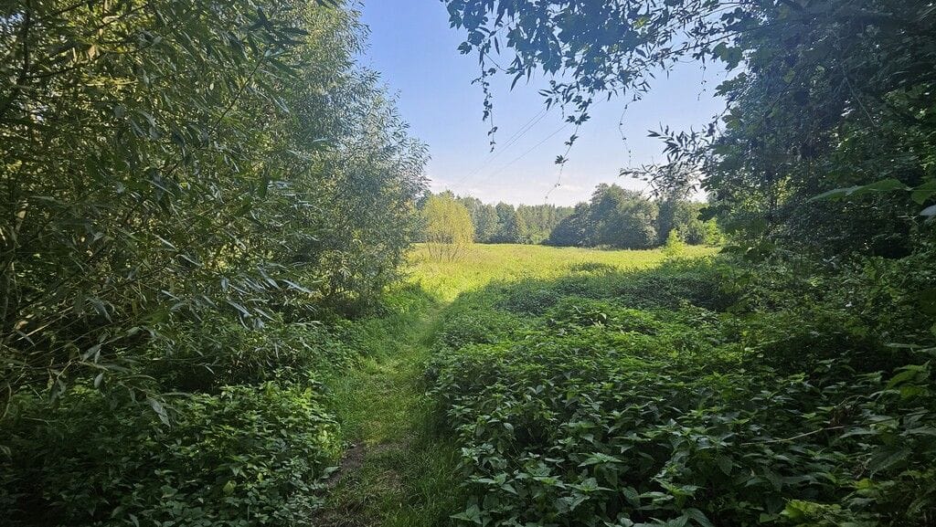 Dom 4 pokojowe na Sprzedaż