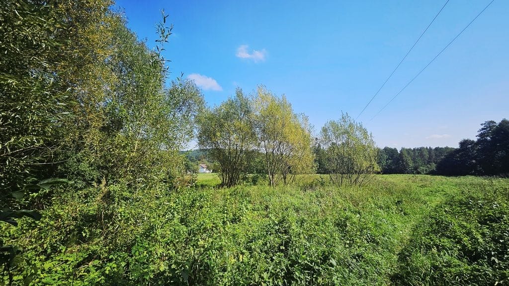 Dom 4 pokojowe na Sprzedaż