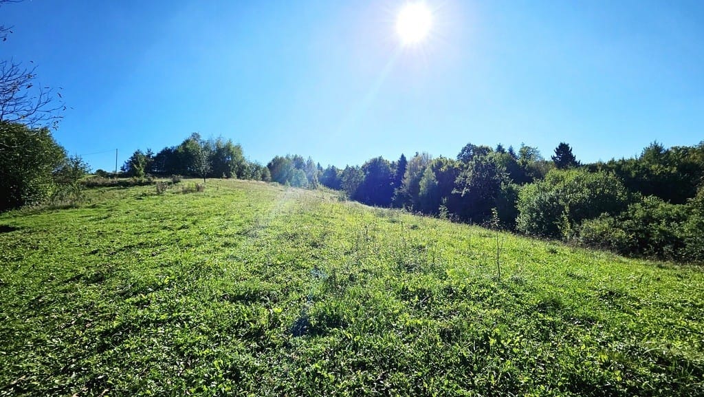 Dom 2 pokojowe na Sprzedaż