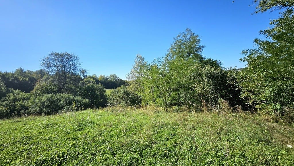 Dom 2 pokojowe na Sprzedaż