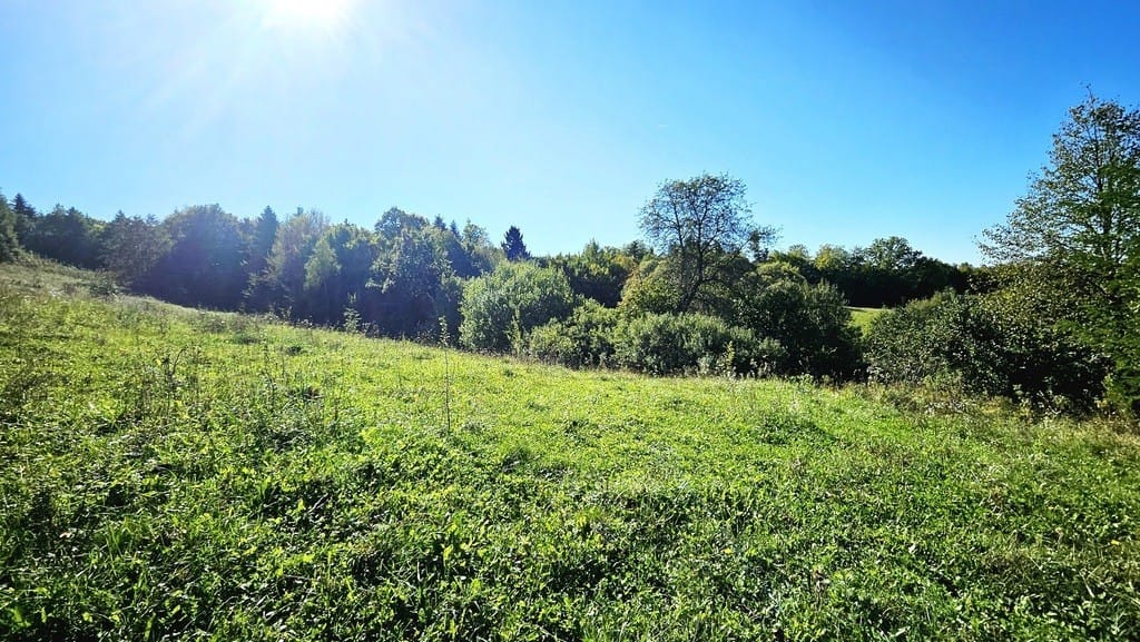 Dom 2 pokojowe na Sprzedaż