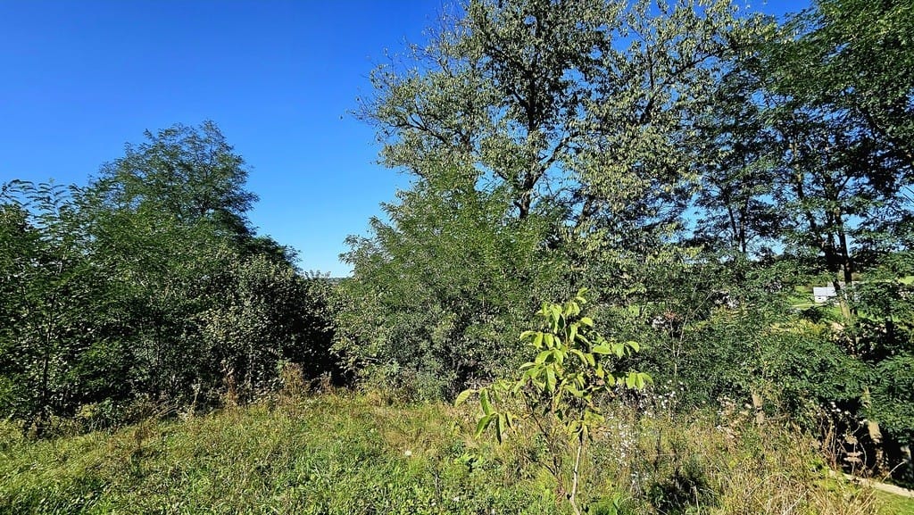 Dom 2 pokojowe na Sprzedaż