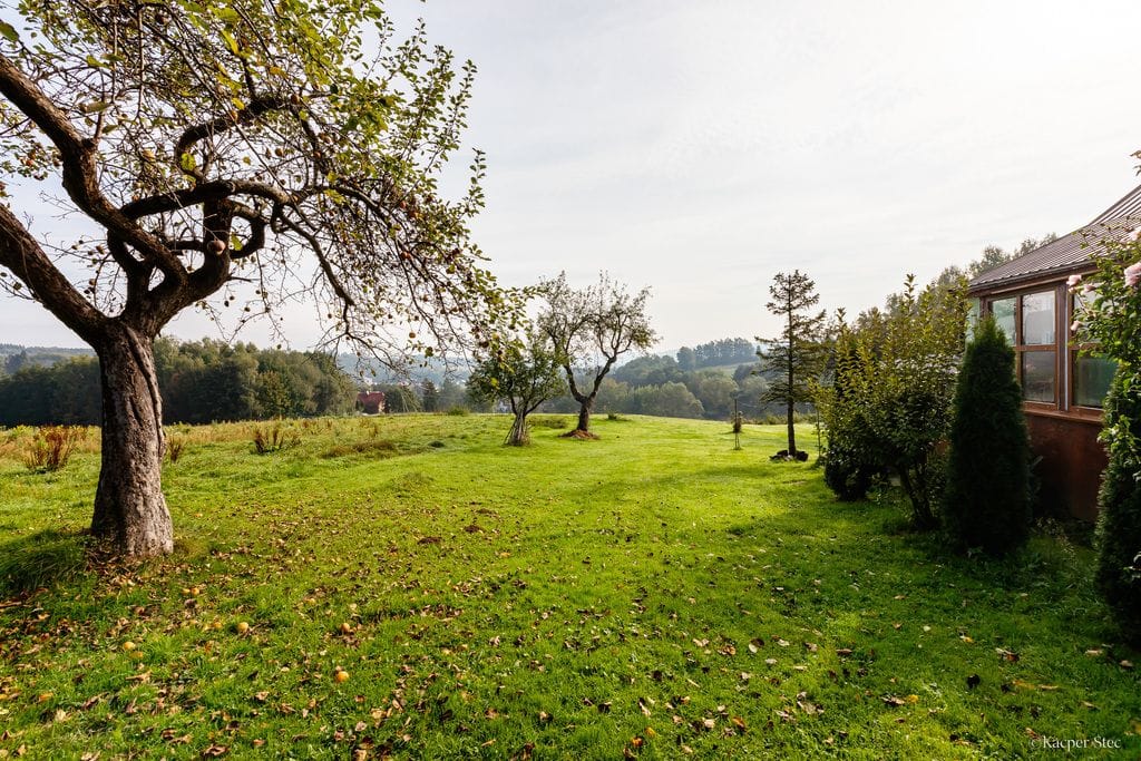 Dom 4 pokojowe na Sprzedaż