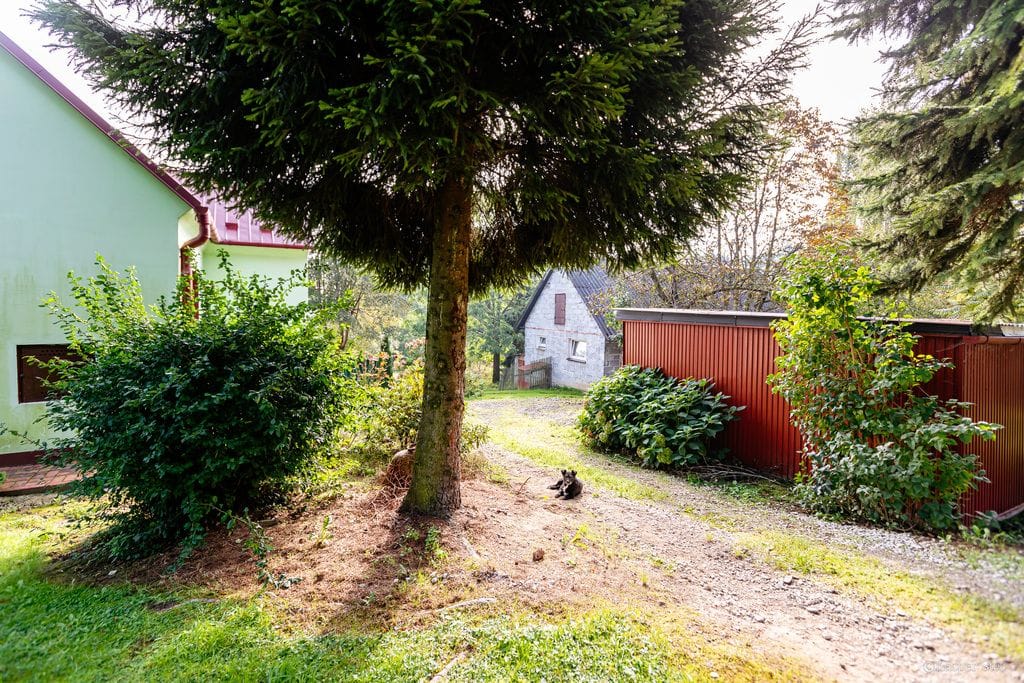 Dom 4 pokojowe na Sprzedaż