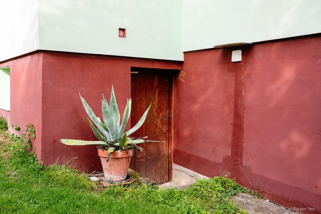 Dom 4 pokojowe na Sprzedaż