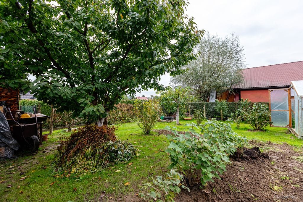 Dom 5 pokojowe na Sprzedaż