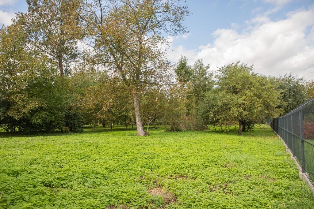 Dom 2 pokojowe na Sprzedaż