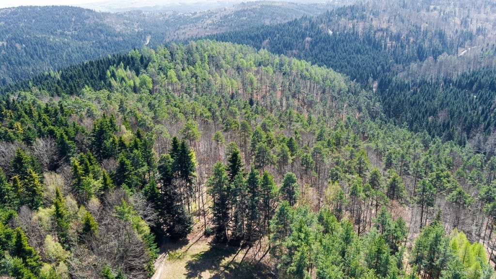 Dom 3 pokojowe na Sprzedaż