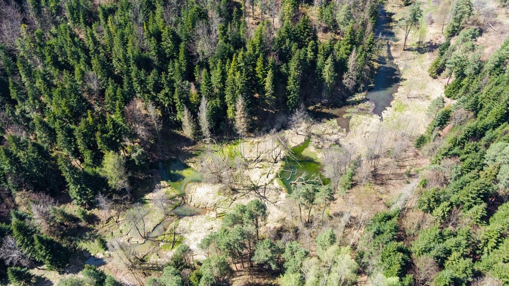 Dom 3 pokojowe na Sprzedaż