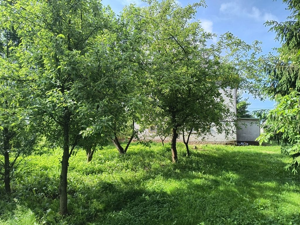 Dom 5 pokojowe na Sprzedaż