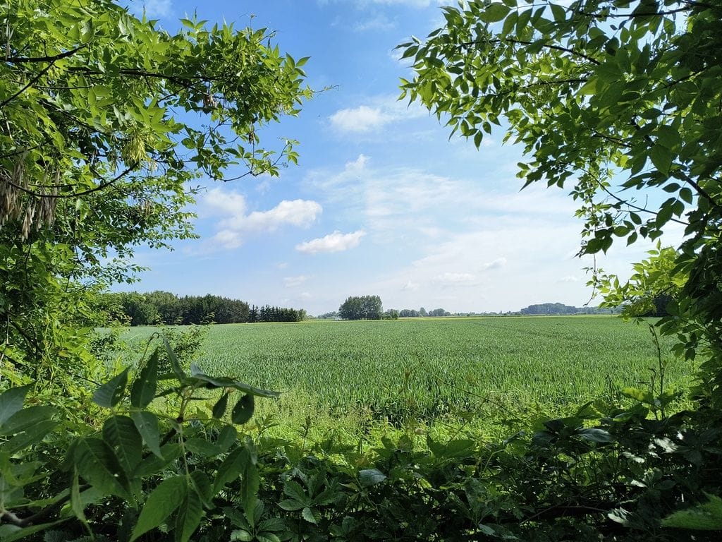 Dom 5 pokojowe na Sprzedaż