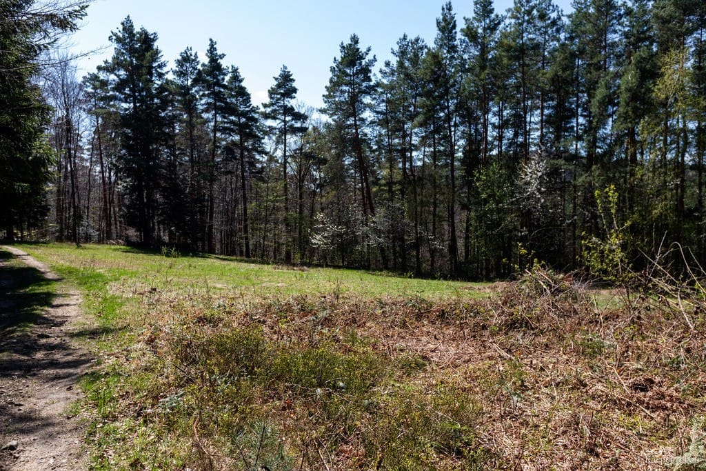 Dom 3 pokojowe na Sprzedaż