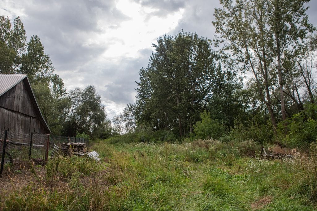 Dom 2 pokojowe na Sprzedaż