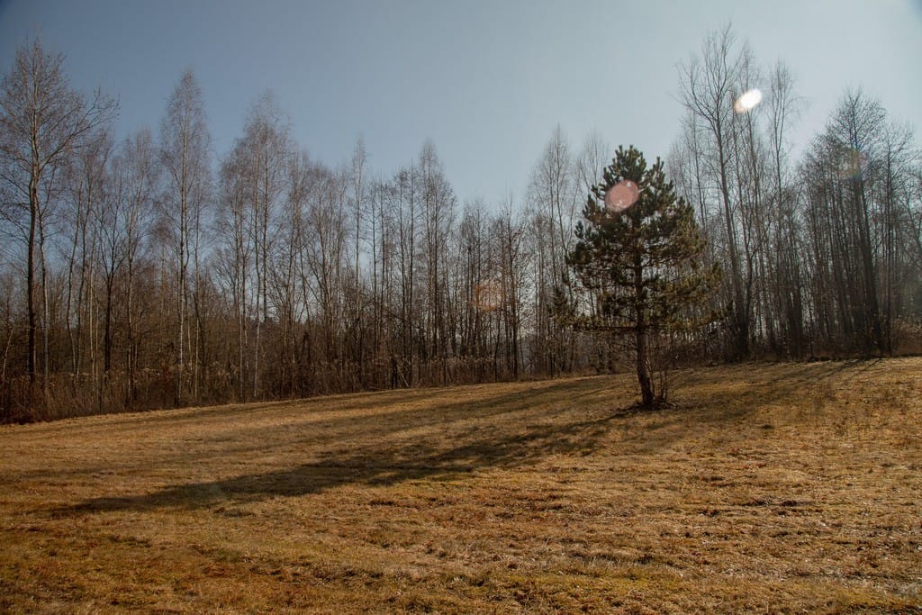 Dom 2 pokojowe na Sprzedaż