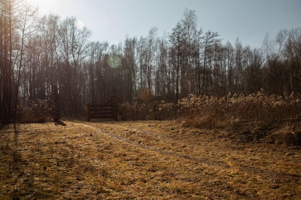 Dom 2 pokojowe na Sprzedaż
