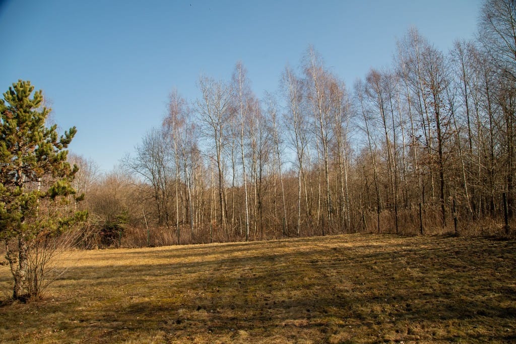 Dom 2 pokojowe na Sprzedaż