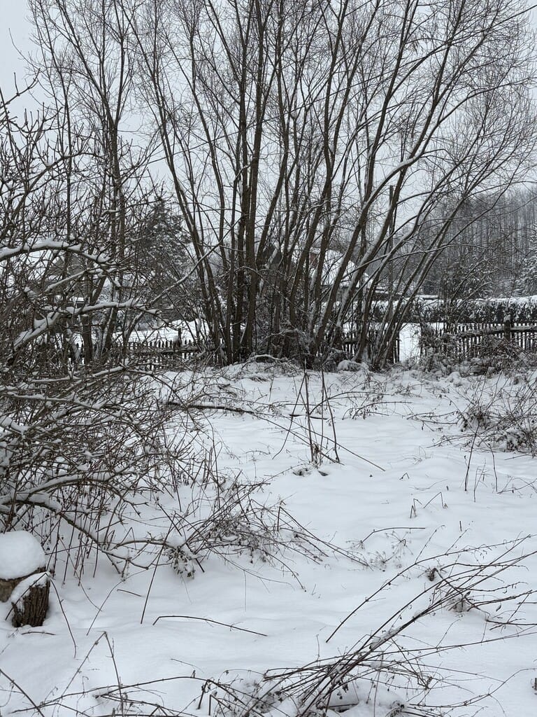 Dom 3 pokojowe na Sprzedaż