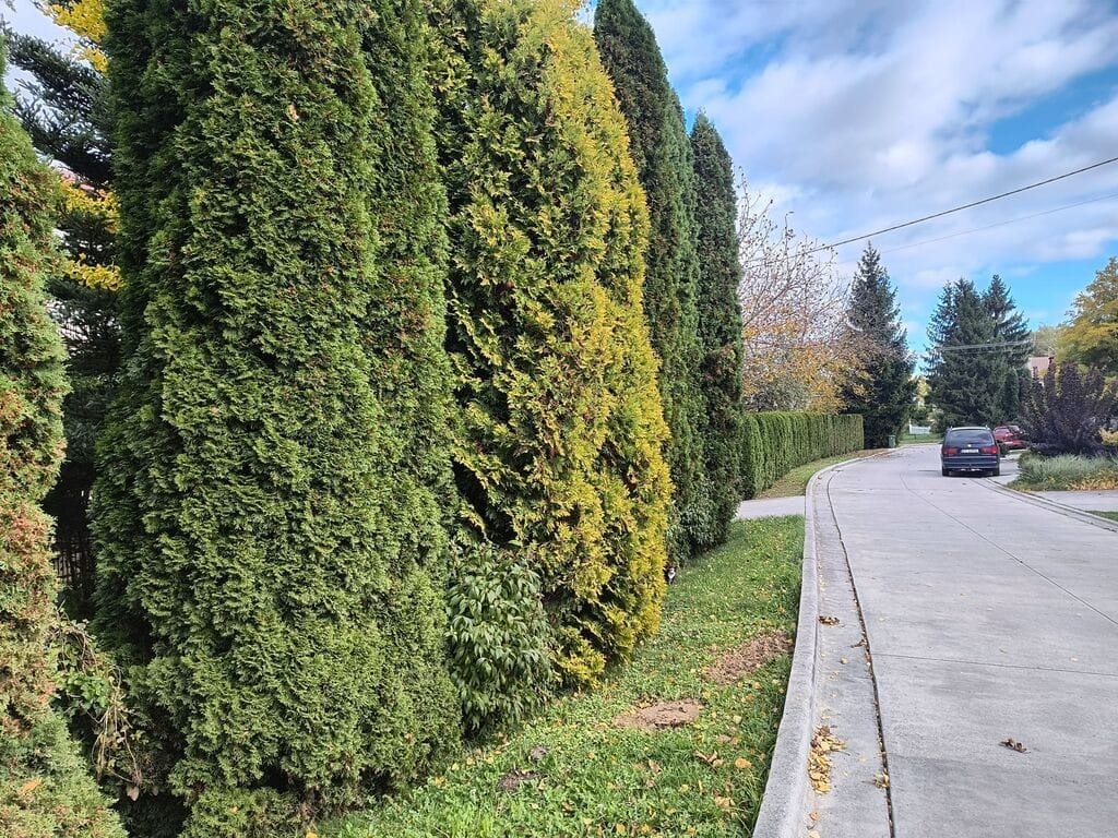 Dom 6 pokojowe na Sprzedaż