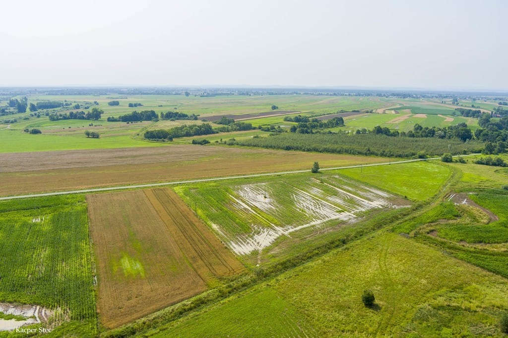 Działka  pokojowe na Sprzedaż