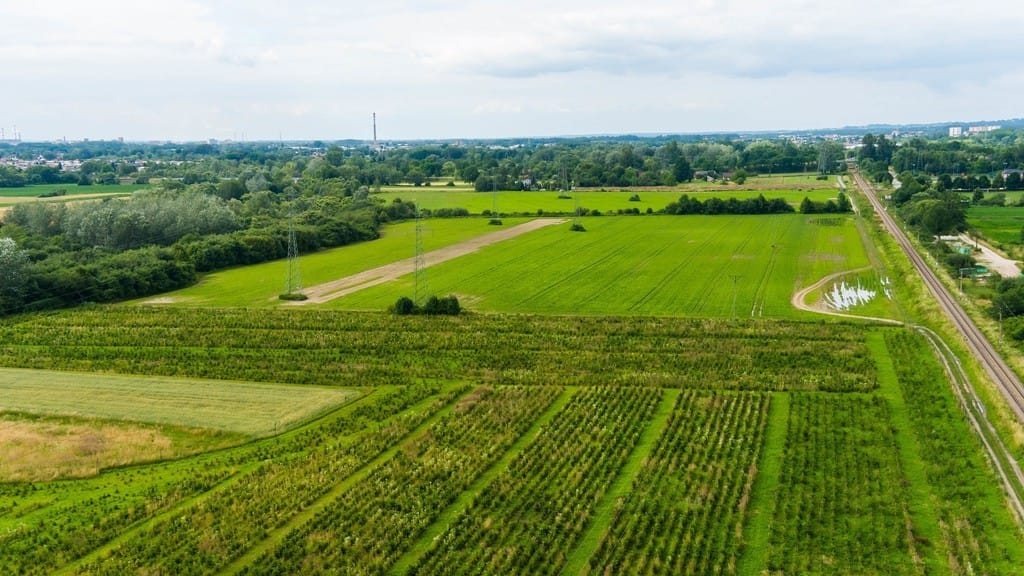 Działka  pokojowe na Sprzedaż