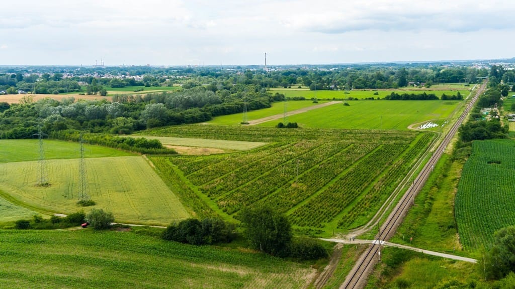 Działka  pokojowe na Sprzedaż
