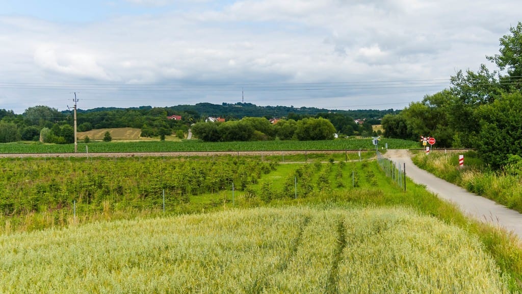 Działka  pokojowe na Sprzedaż