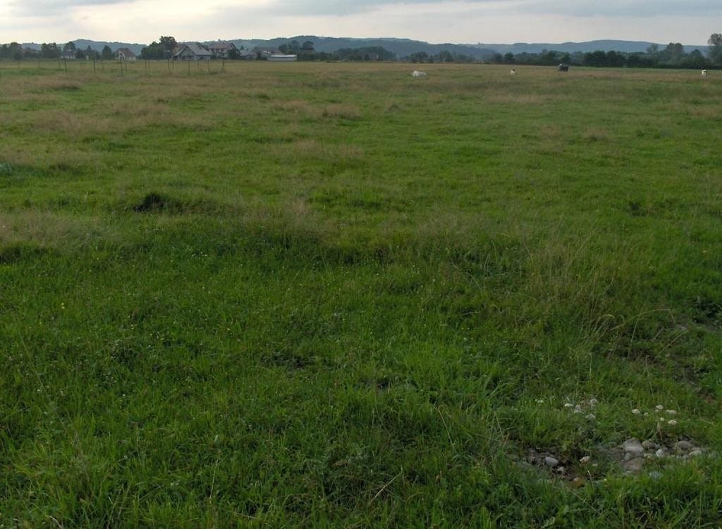 Działka  pokojowe na Sprzedaż