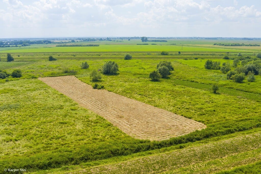 Działka  pokojowe na Sprzedaż