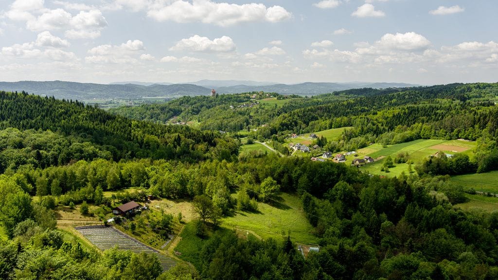 Dom 2 pokojowe na Sprzedaż
