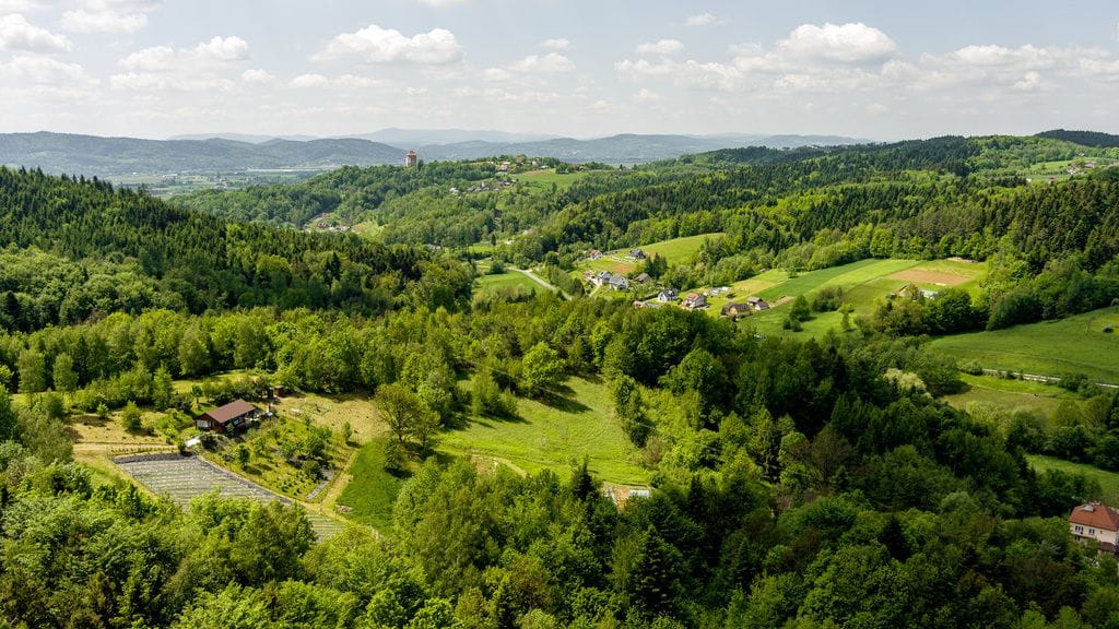 Dom 2 pokojowe na Sprzedaż