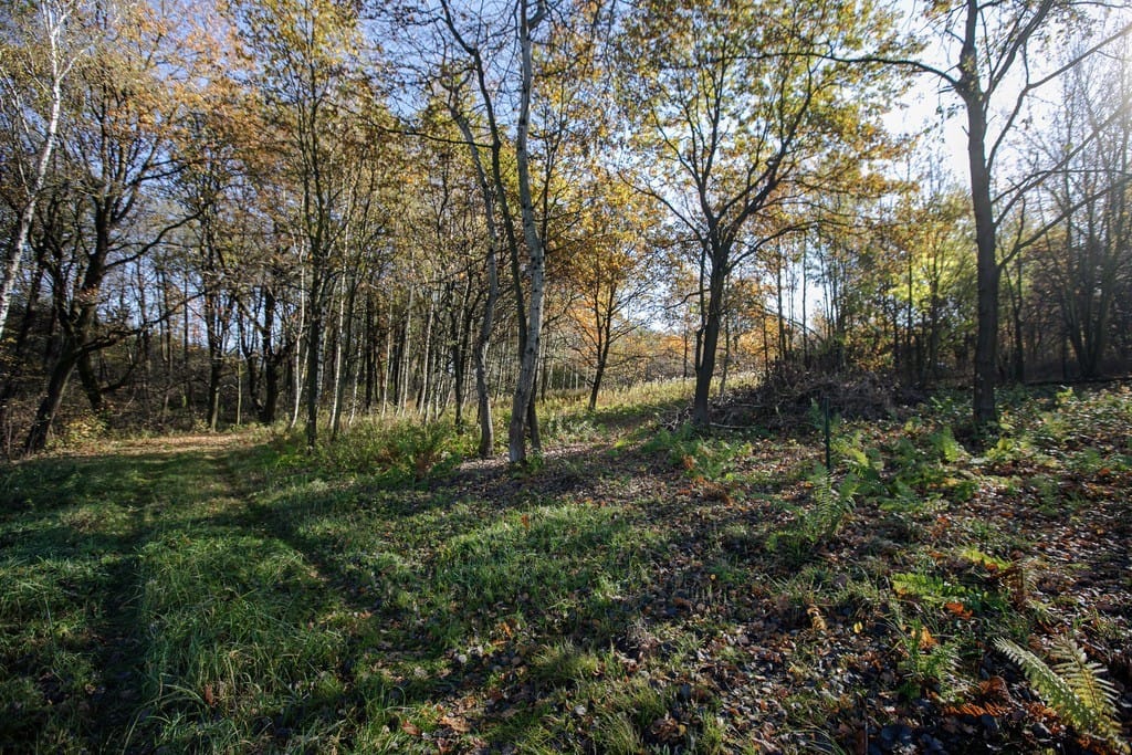 Działka  pokojowe na Sprzedaż
