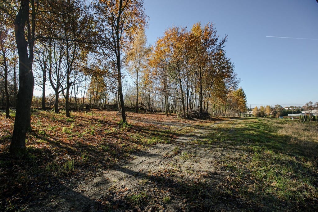 Działka  pokojowe na Sprzedaż