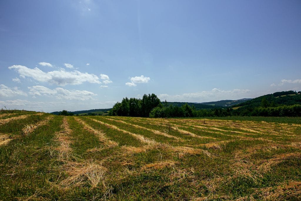 Działka  pokojowe na Sprzedaż