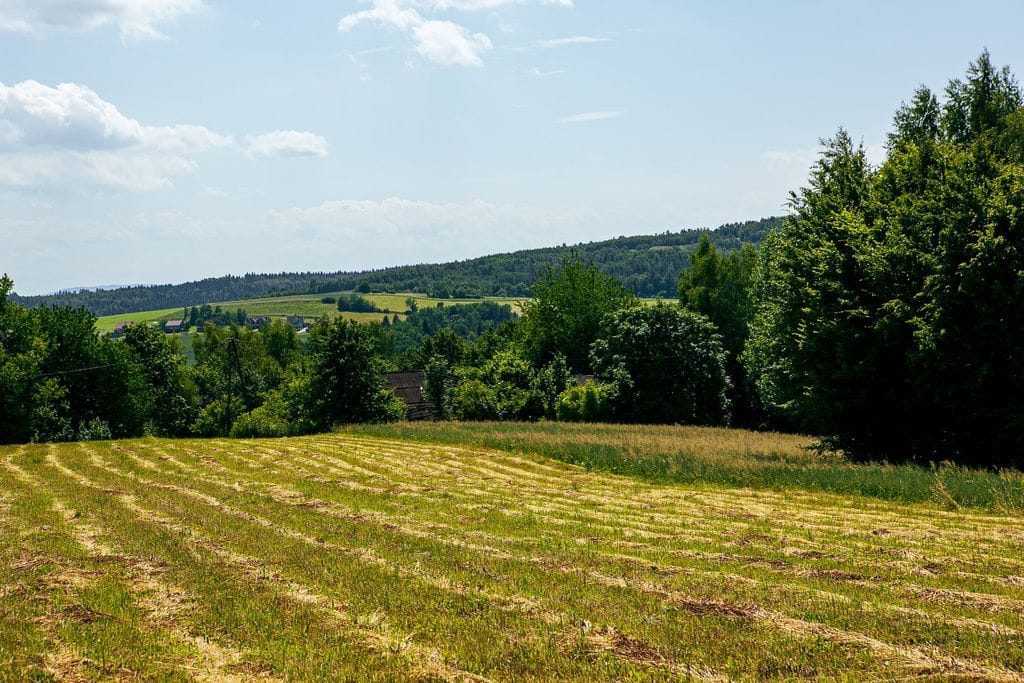 Działka  pokojowe na Sprzedaż