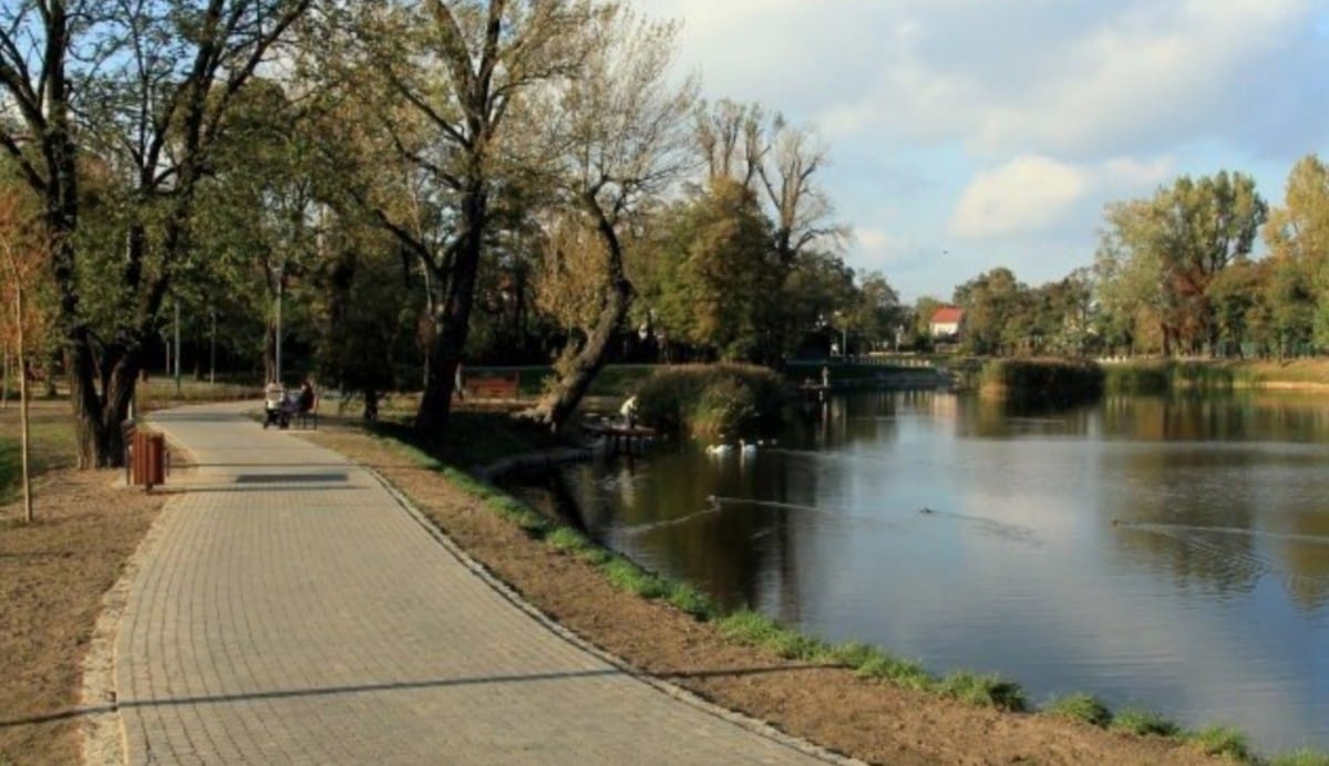 Mieszkanie 3 pokojowe na Wynajem