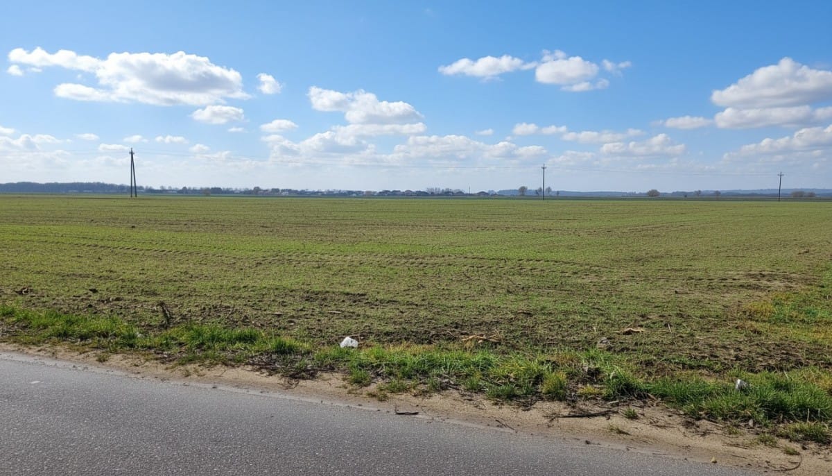 Działka  pokojowe na Sprzedaż