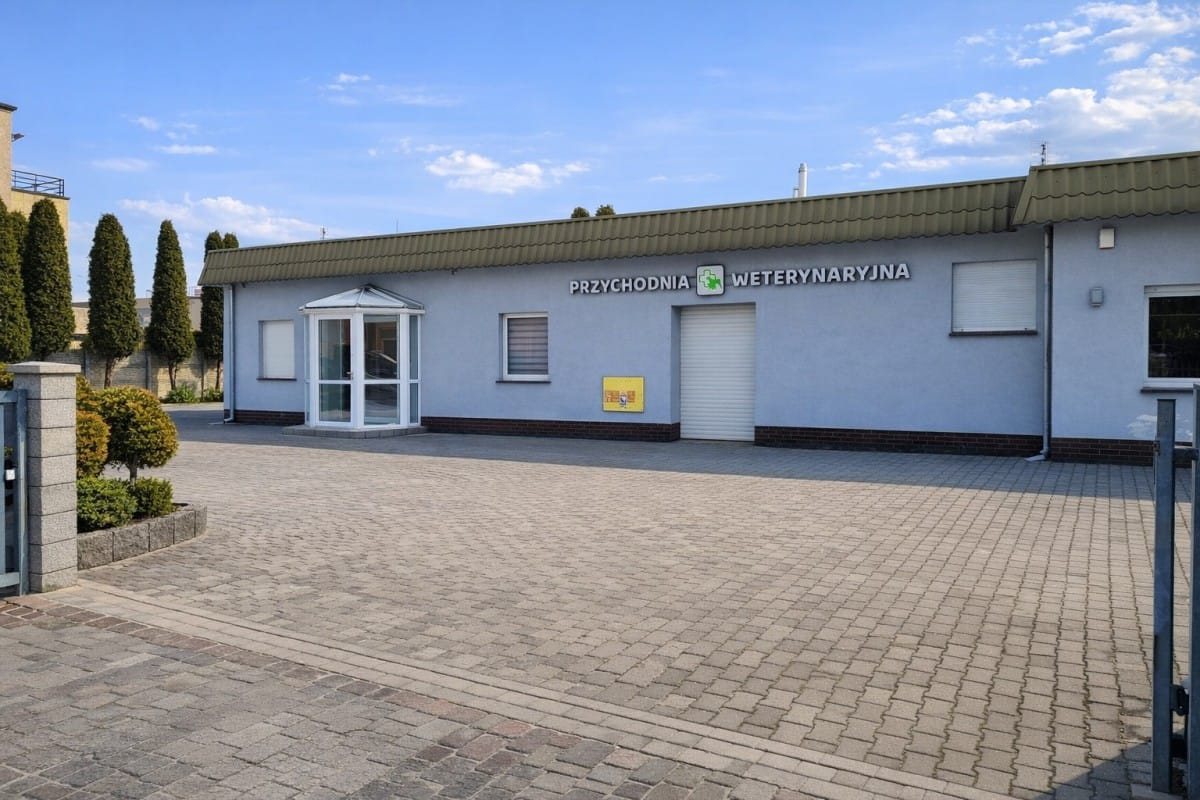 Lokal użytkowy  pokojowe na Wynajem