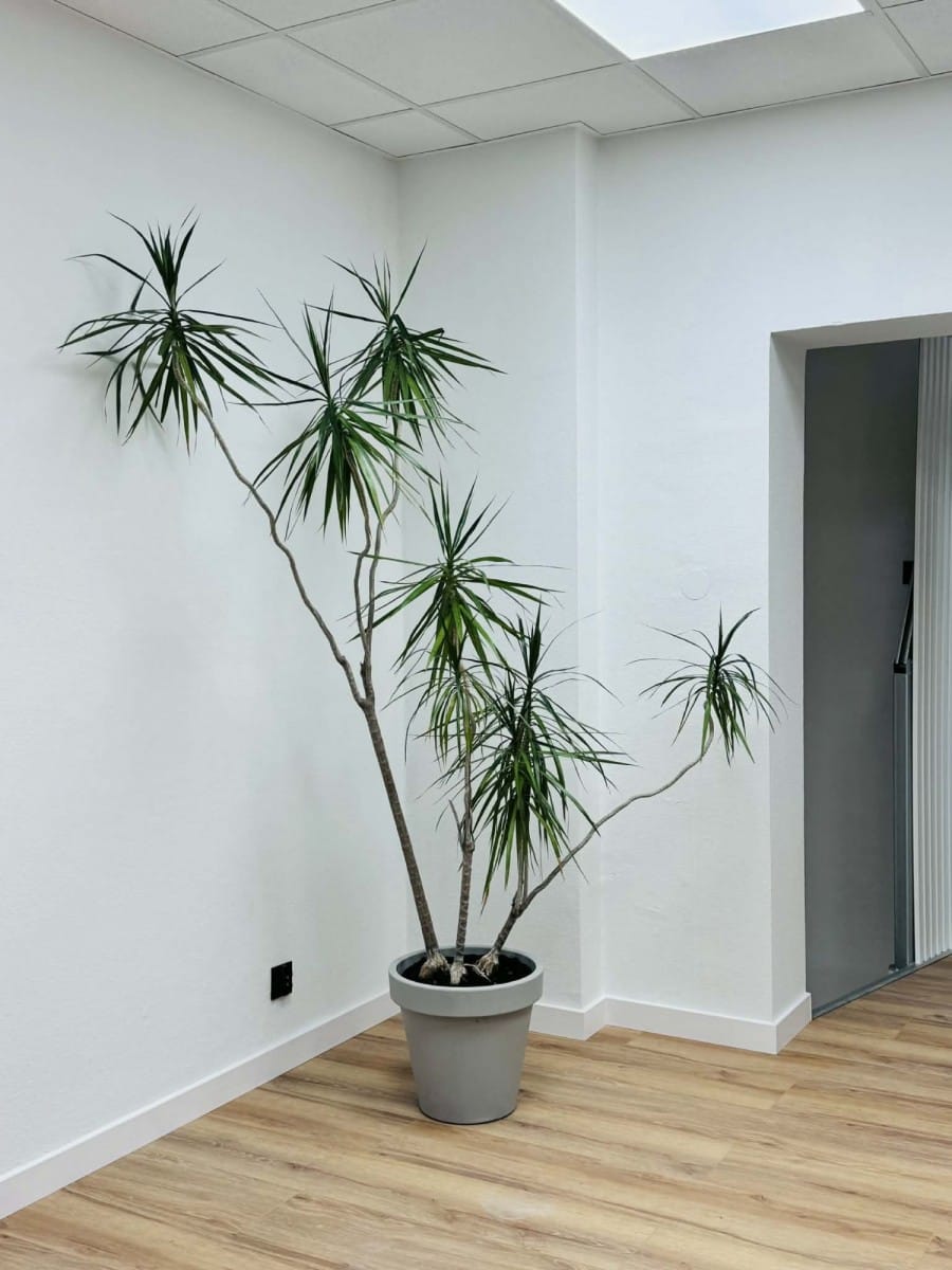 Lokal użytkowy  pokojowe na Wynajem