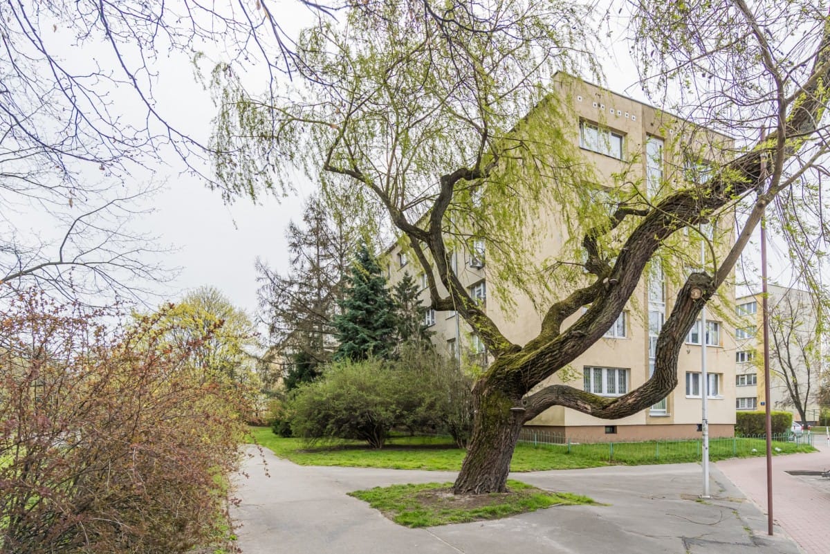 Mieszkanie 3 pokojowe na Sprzedaż