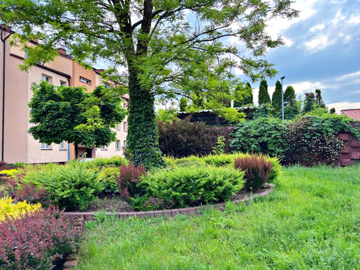 Mieszkanie 3 pokojowe na Sprzedaż