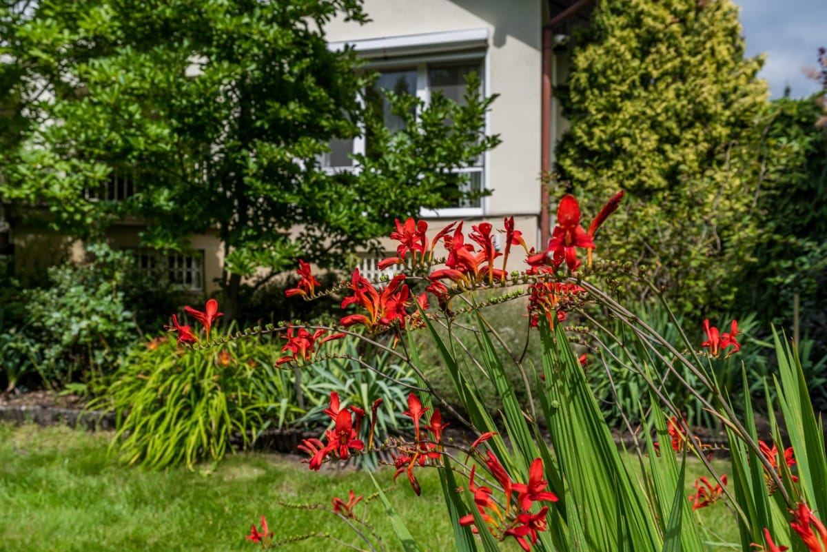 Dom 8 pokojowe na Sprzedaż