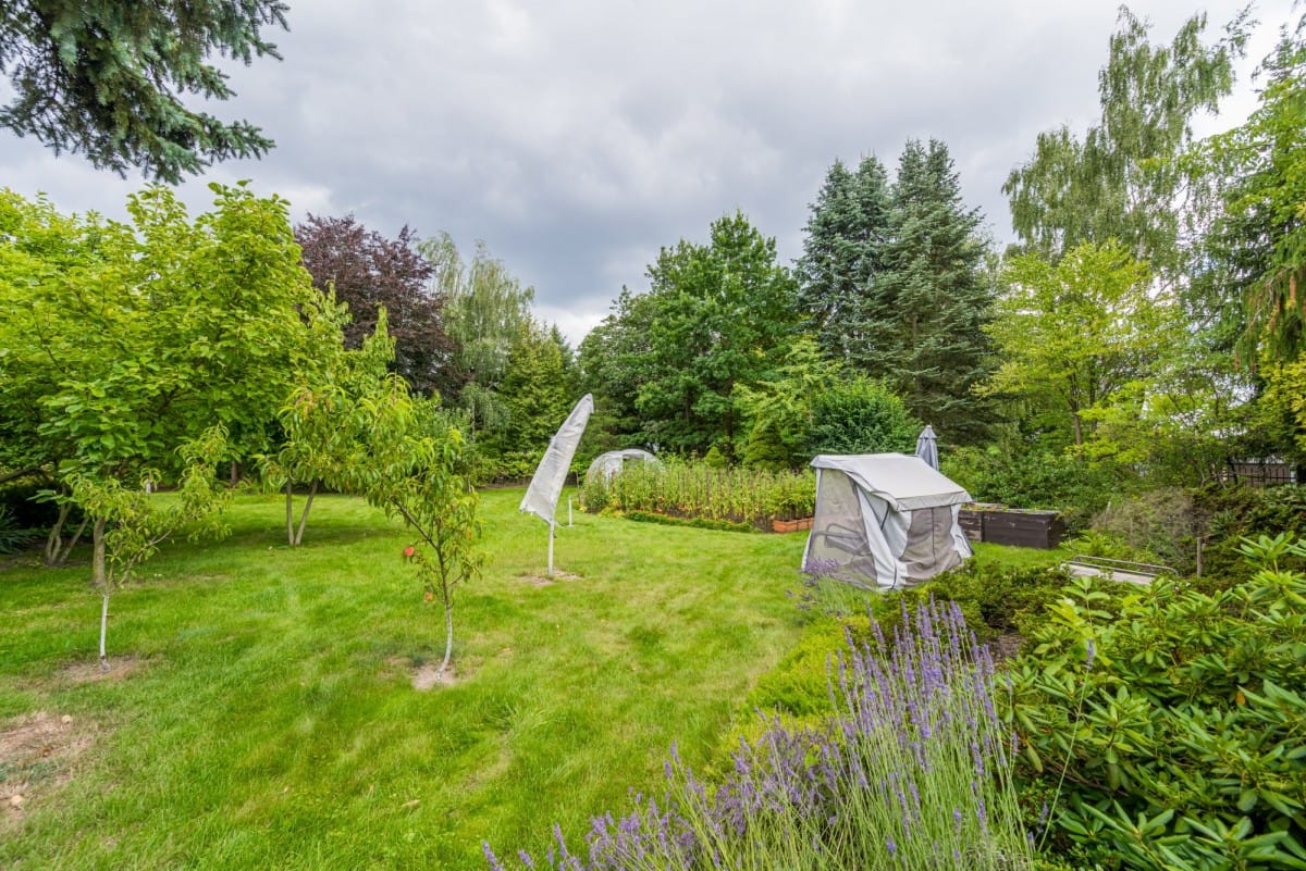 Dom 8 pokojowe na Sprzedaż