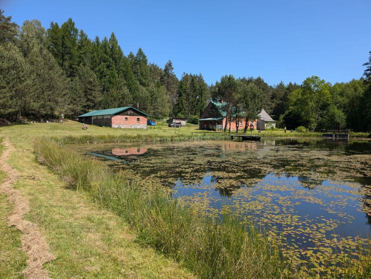 Dom 4 pokojowe na Sprzedaż