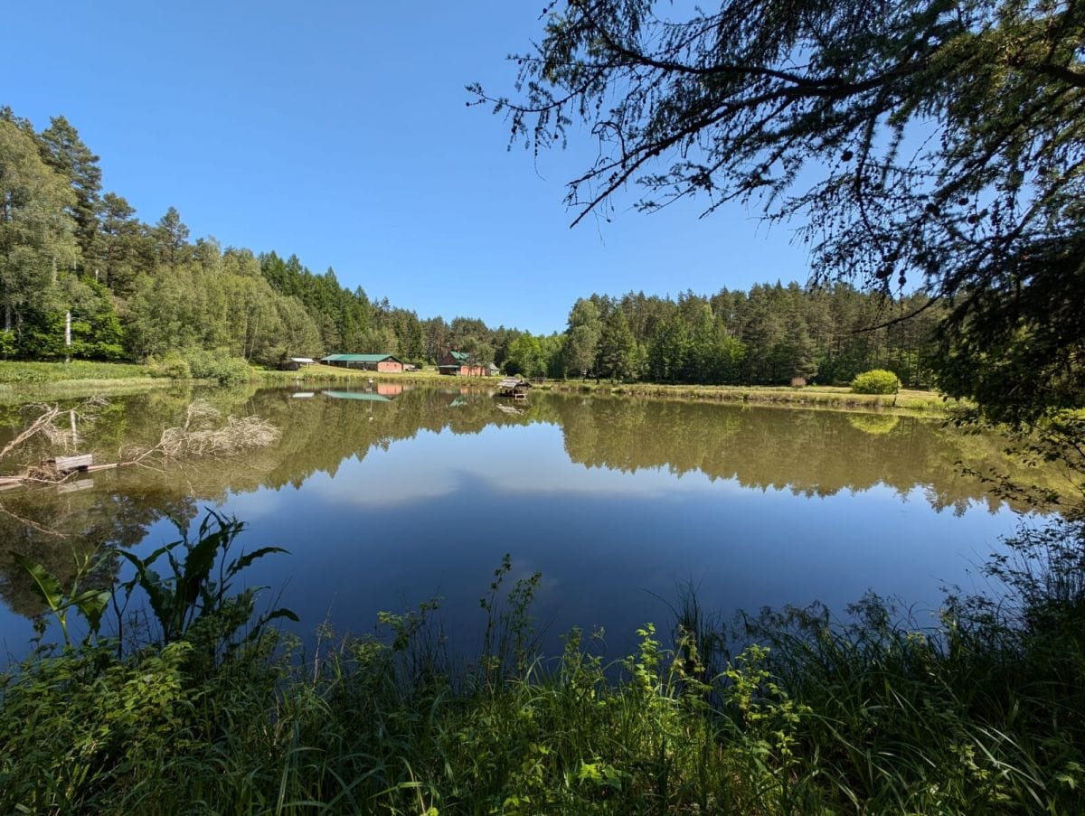 Dom 4 pokojowe na Sprzedaż