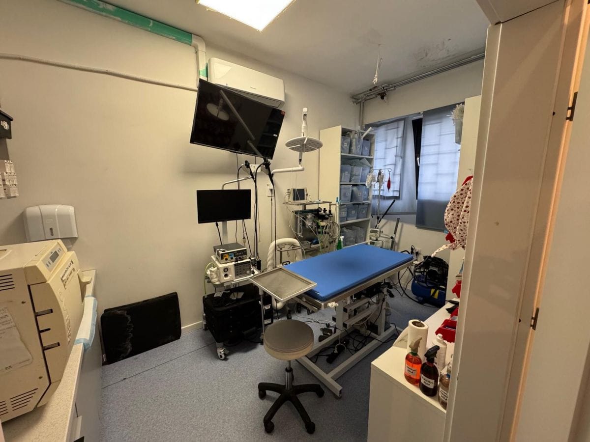 Lokal użytkowy  pokojowe na Wynajem