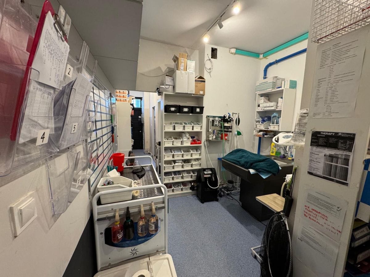 Lokal użytkowy  pokojowe na Wynajem