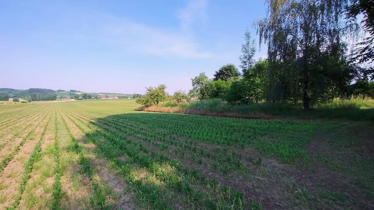 Dom 5 pokojowe na Sprzedaż
