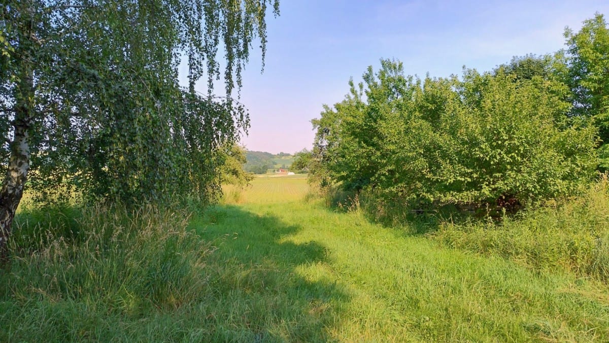 Dom 5 pokojowe na Sprzedaż