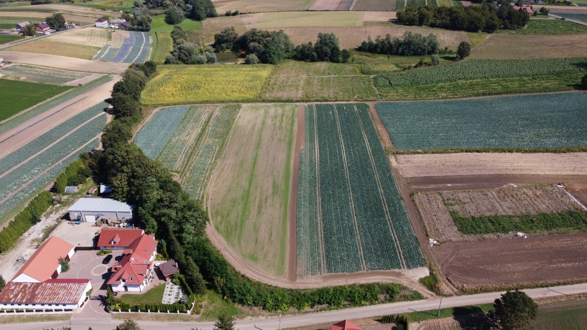 Działka  pokojowe na Sprzedaż